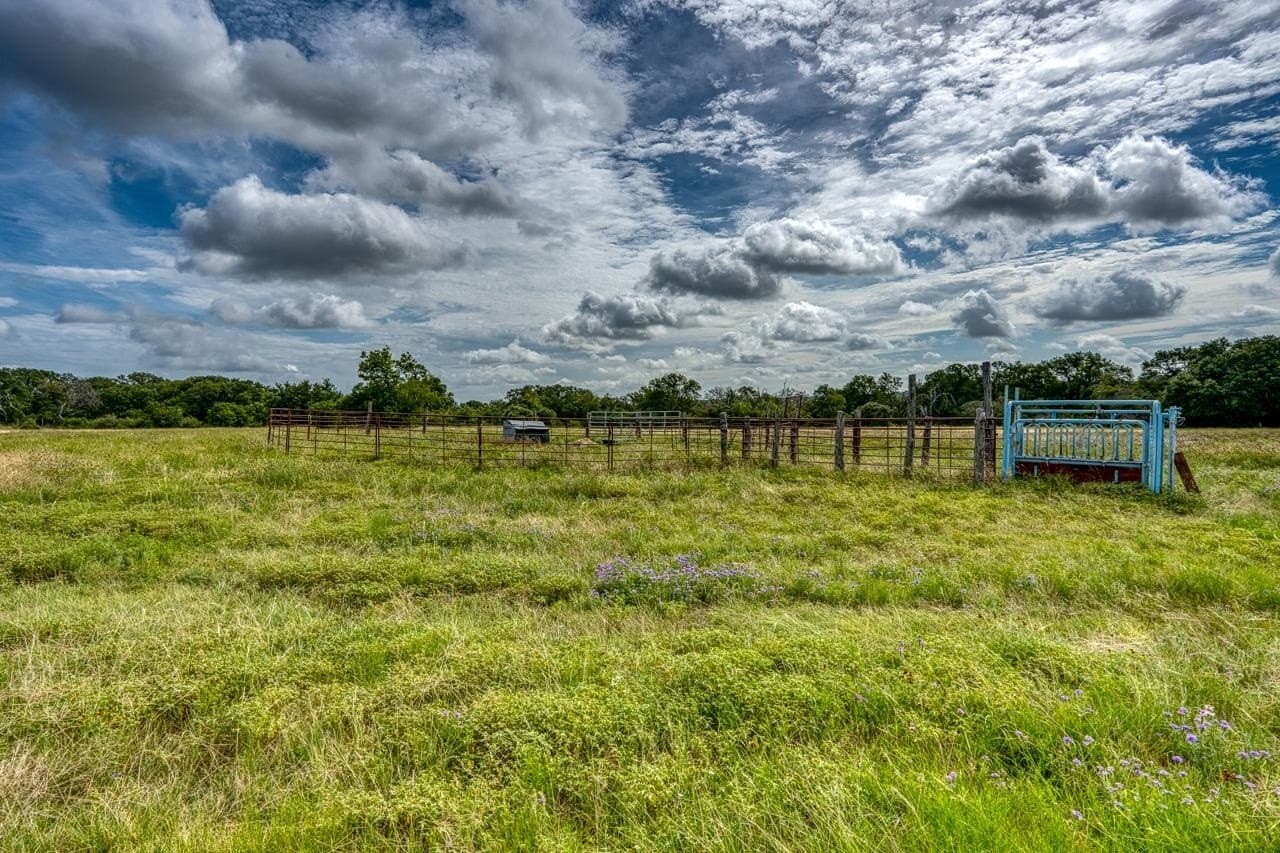 99.18 acres in Bell County - photo 15