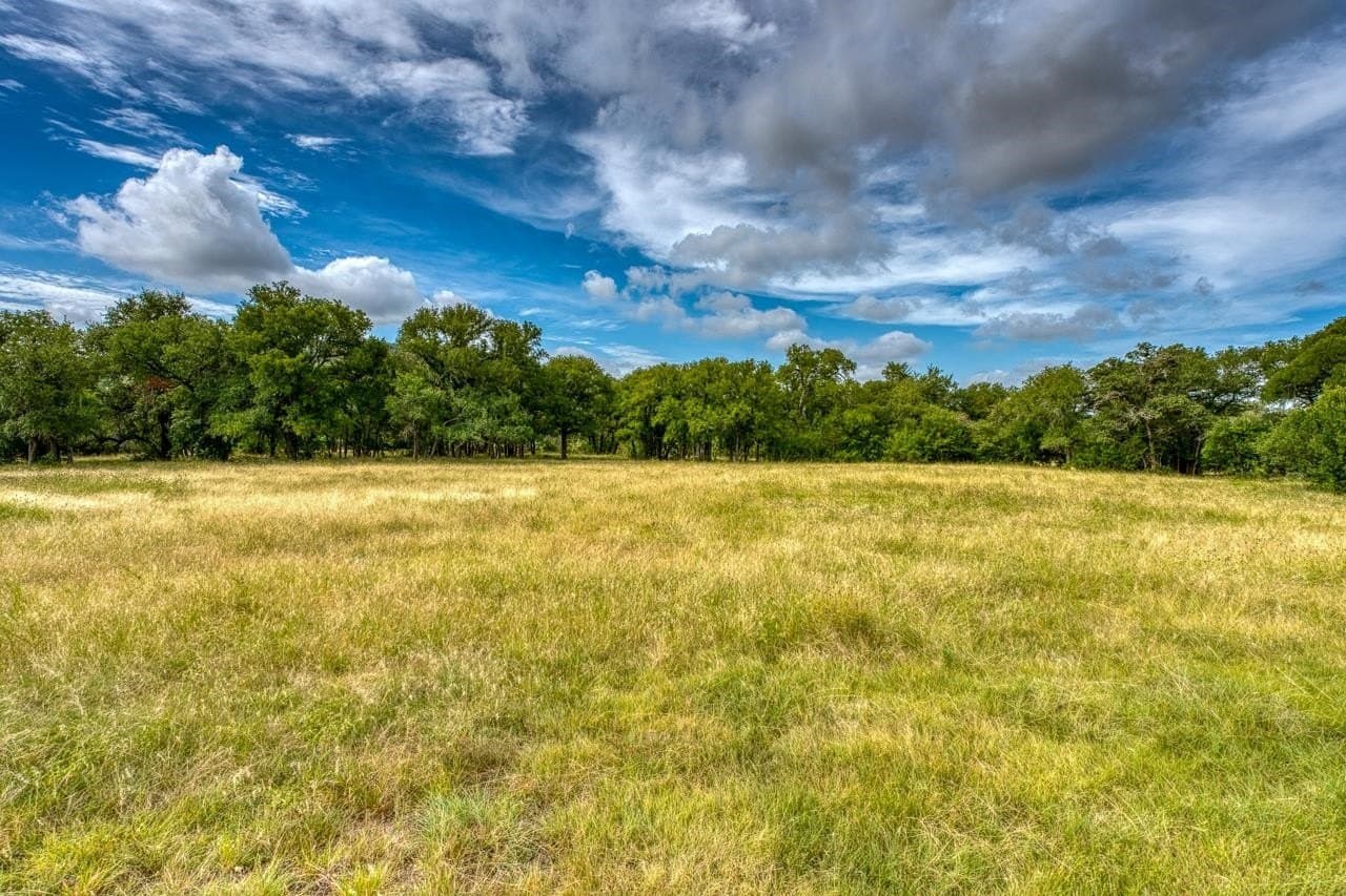 99.18 acres in Bell County - photo 16