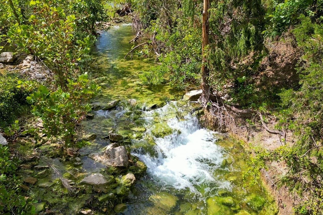 99.18 acres in Bell County gallery image 3