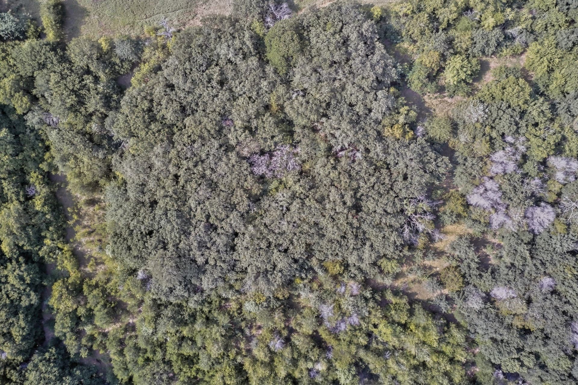 4.18 acres in Denton County - photo 16