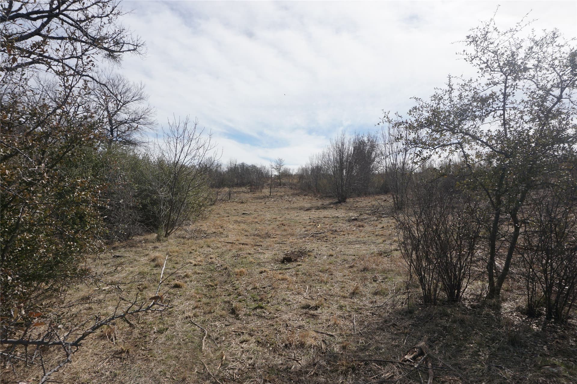 2.01 acres in Palo Pinto County - photo 4