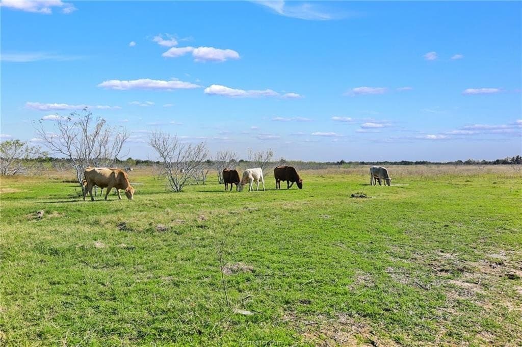 30.99 acres in Milam County - photo 27