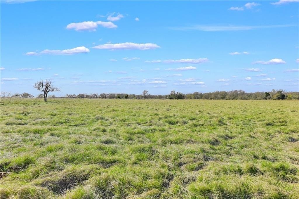 30.99 acres in Milam County - photo 29