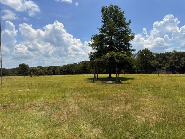 162 acres in Henderson County - photo 30