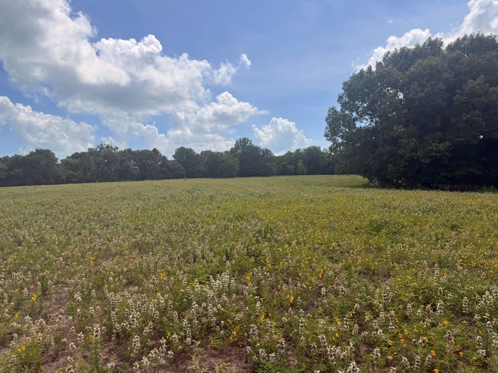 162 acres in Henderson County - photo 11
