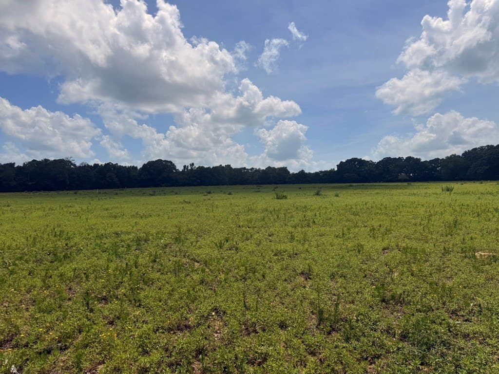 162 acres in Henderson County - photo 13