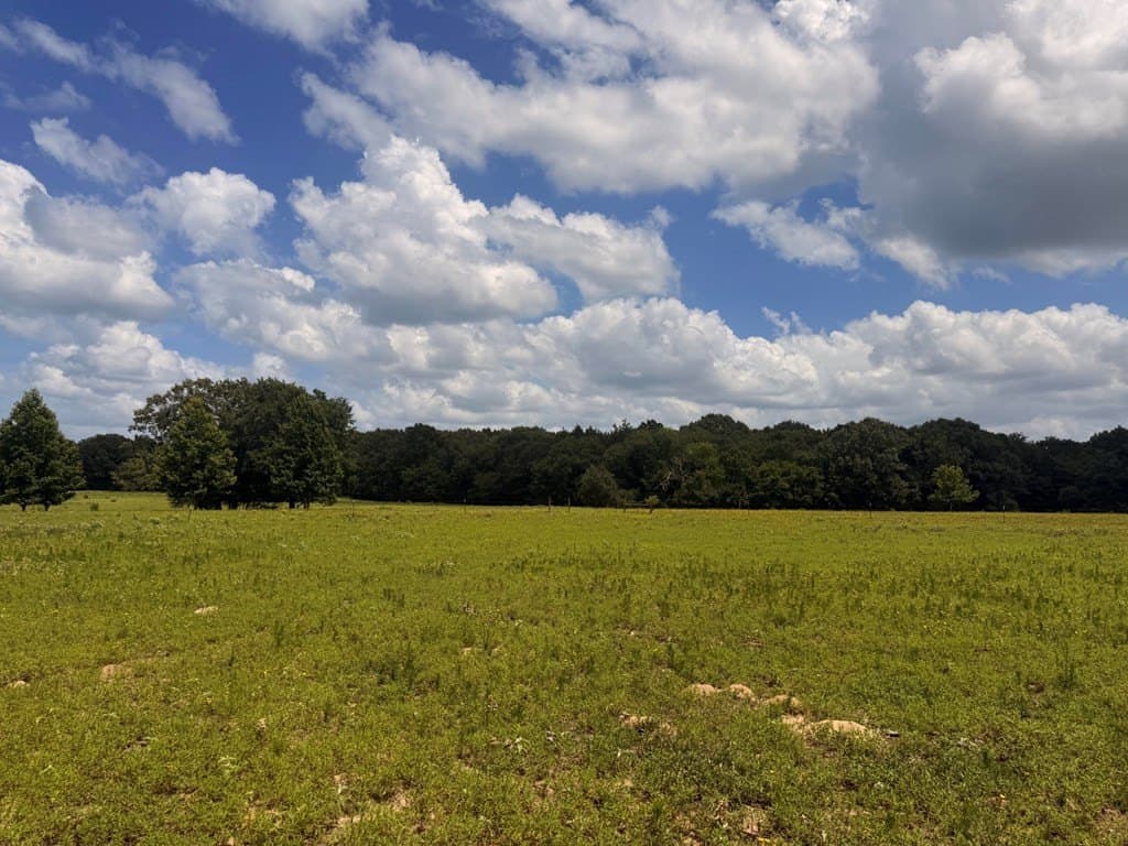 162 acres in Henderson County - photo 12