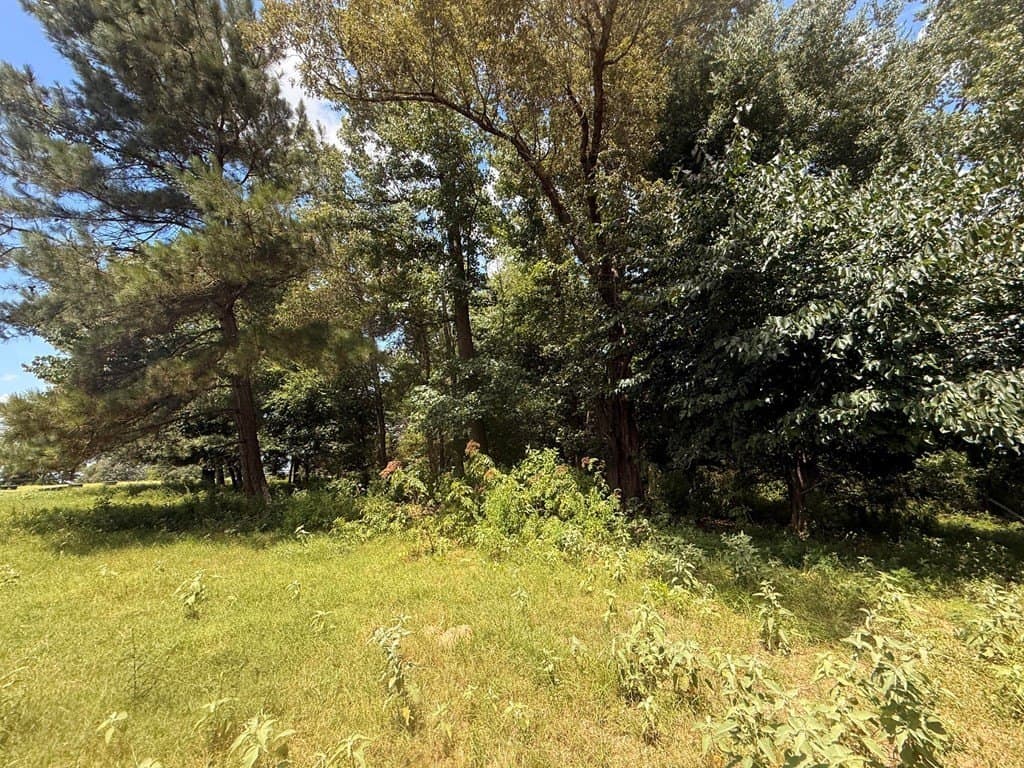 162 acres in Henderson County - photo 8