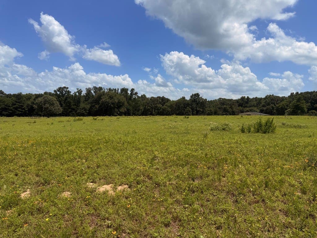 162 acres in Henderson County gallery image 2