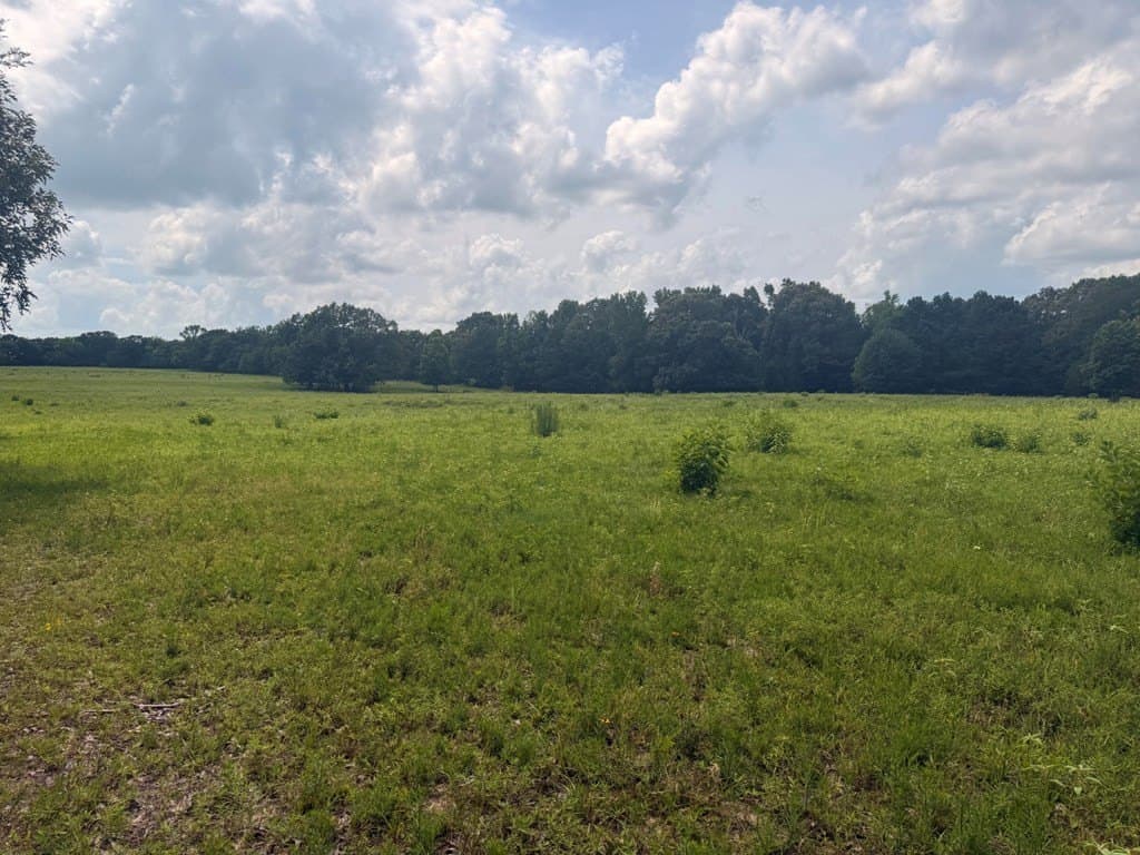 162 acres in Henderson County - photo 20