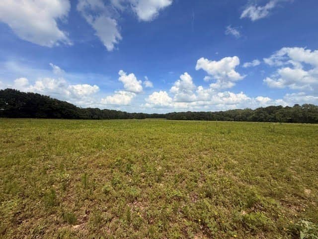 162 acres in Henderson County - photo 24