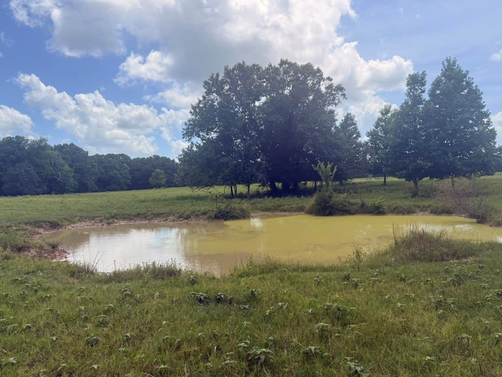 162 acres in Henderson County - photo 14