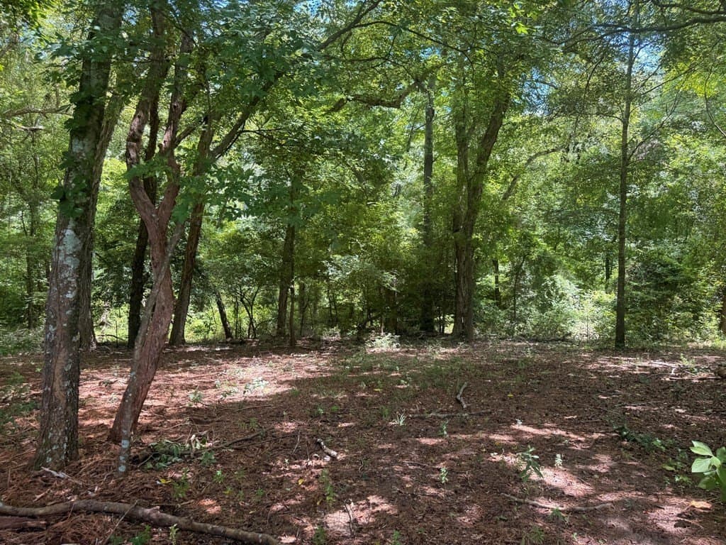 162 acres in Henderson County - photo 6