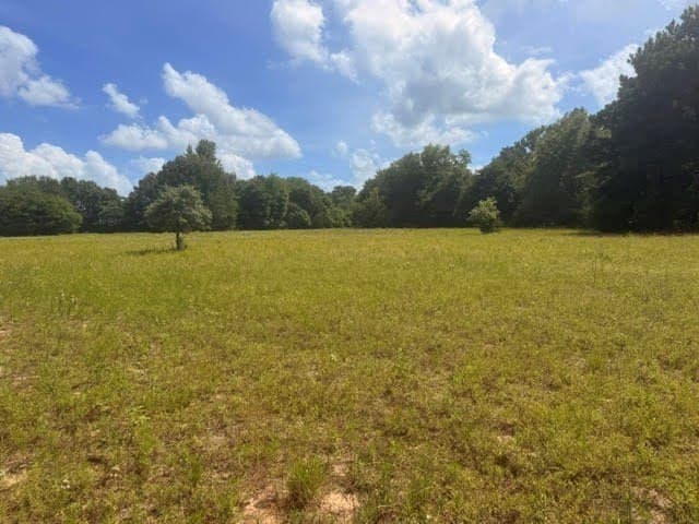 162 acres in Henderson County - photo 26