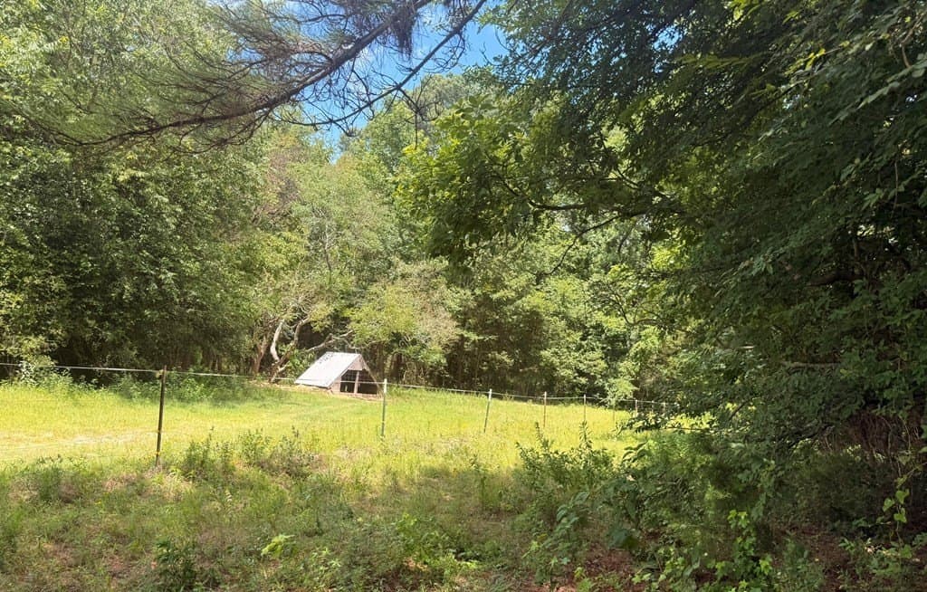 162 acres in Henderson County featured view