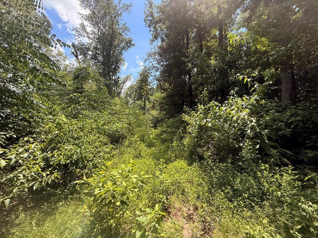 162 acres in Henderson County - photo 7