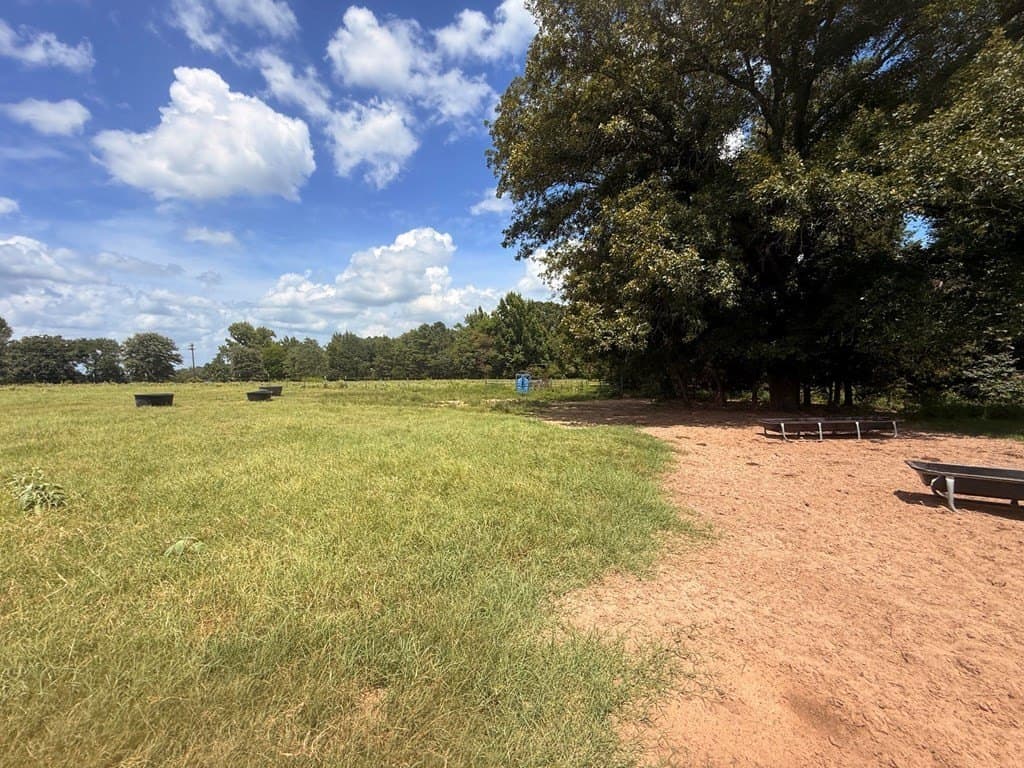 162 acres in Henderson County - photo 9