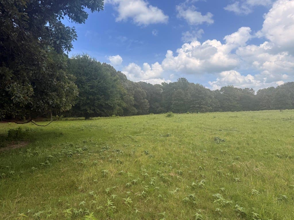 162 acres in Henderson County - photo 15