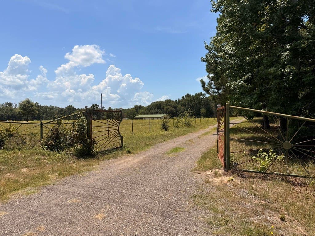 162 acres in Henderson County - photo 32