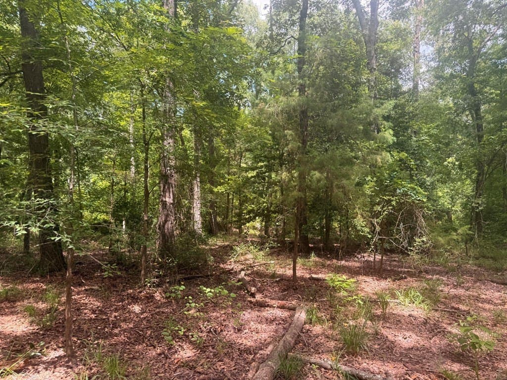 162 acres in Henderson County - photo 17