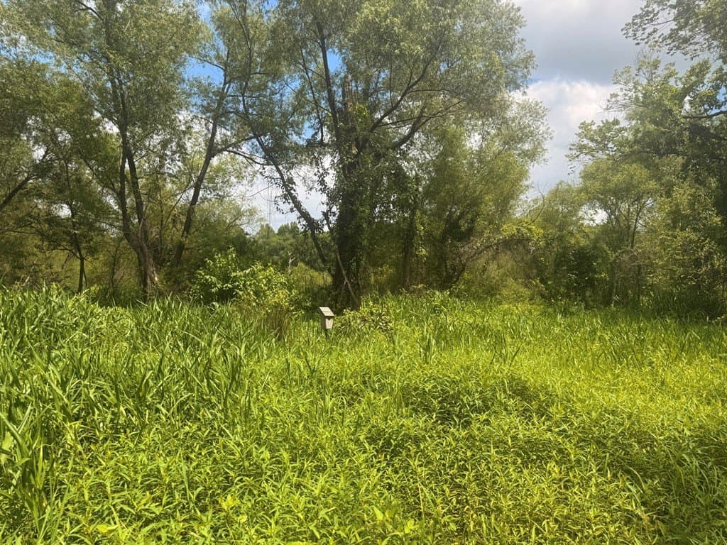 162 acres in Henderson County - photo 19