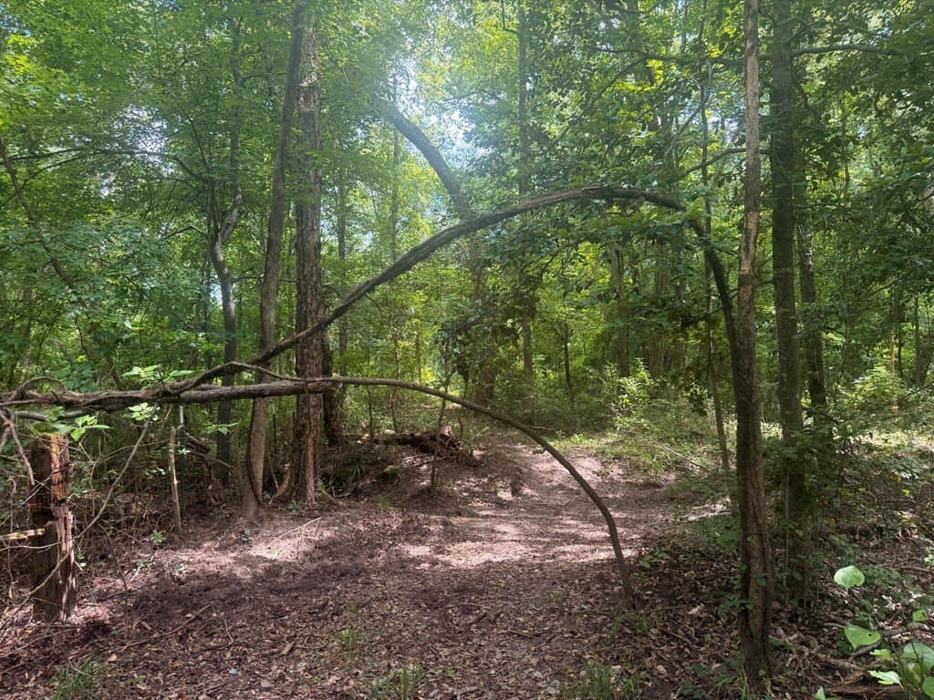 162 acres in Henderson County - photo 18