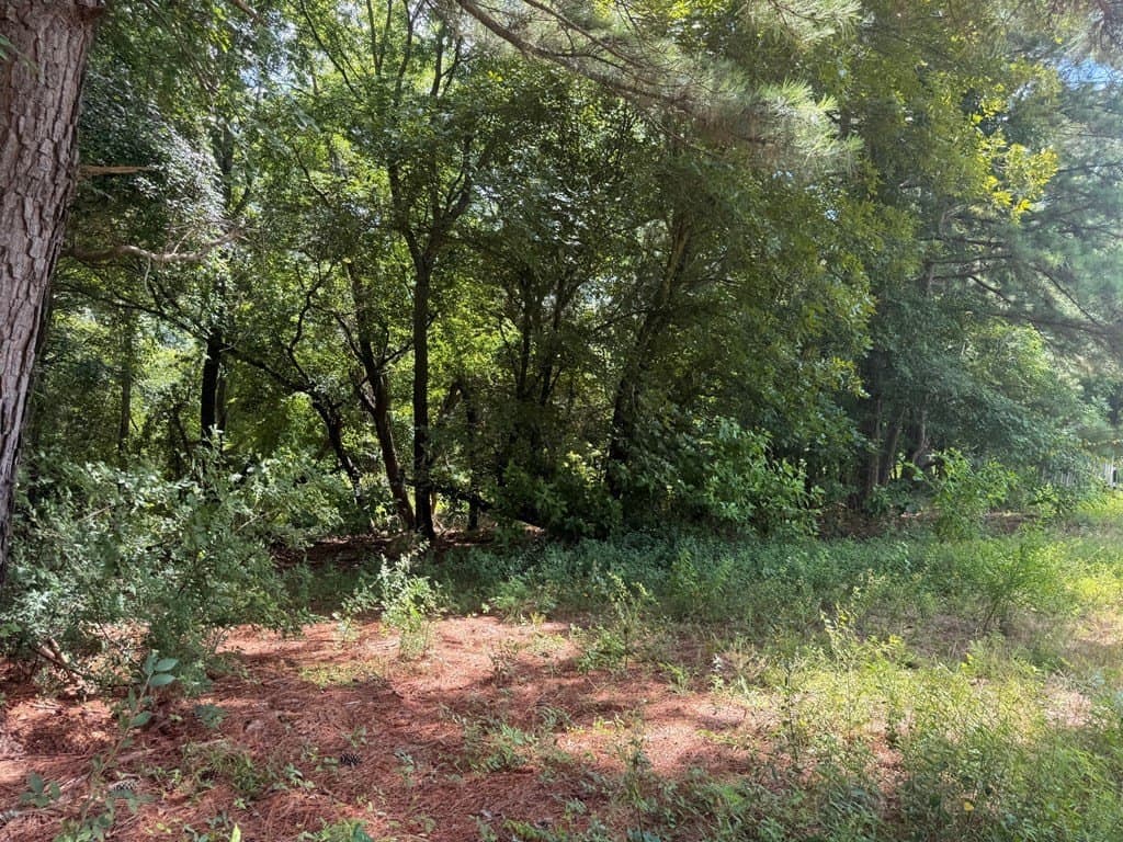162 acres in Henderson County gallery image 4