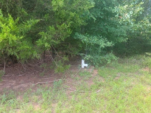 162 acres in Henderson County - photo 22