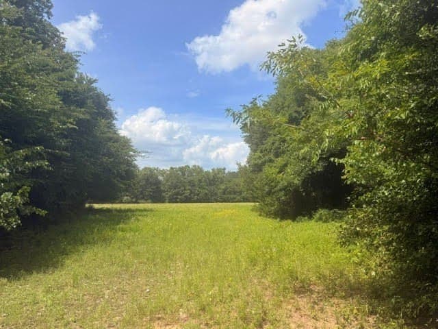 162 acres in Henderson County - photo 25