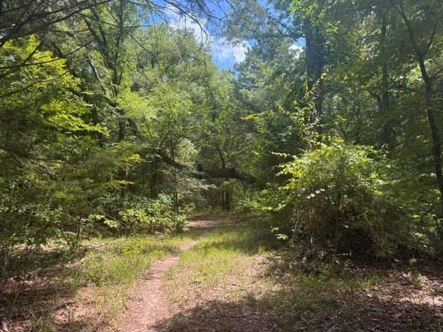 162 acres in Henderson County - photo 21