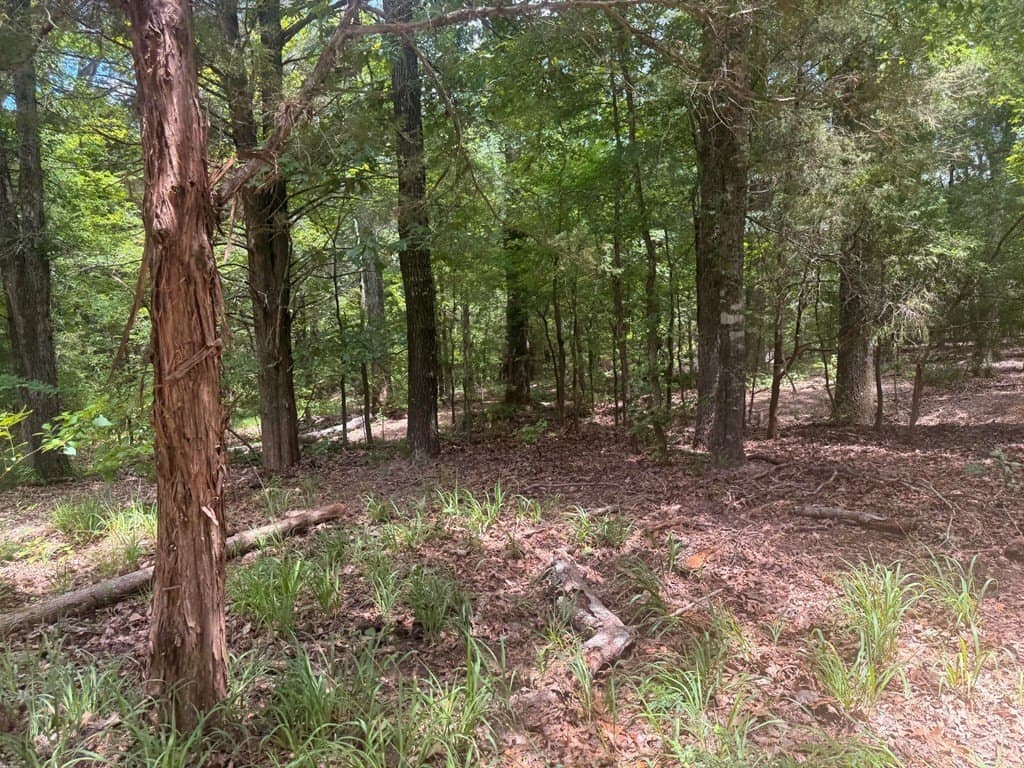 162 acres in Henderson County - photo 16