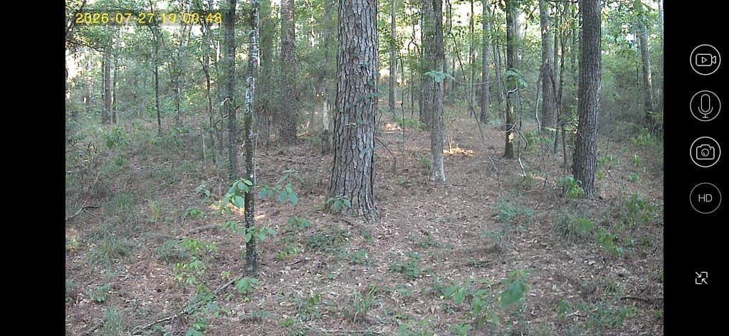 6.1 acres in Texas County - photo 4
