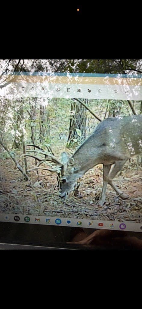 6.1 acres in Texas County - photo 7