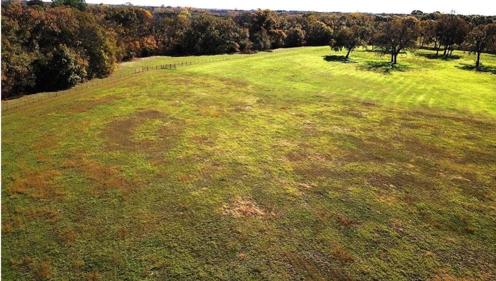 10.45 acres in Grayson County gallery image 3