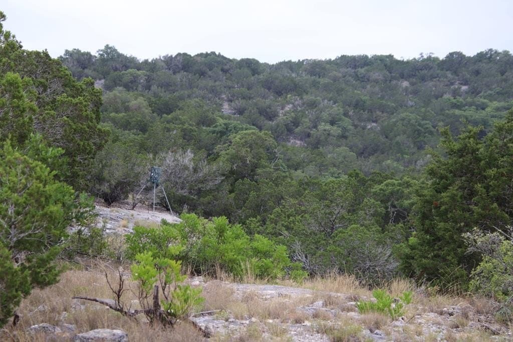 1,038 acres in Edwards County - photo 37
