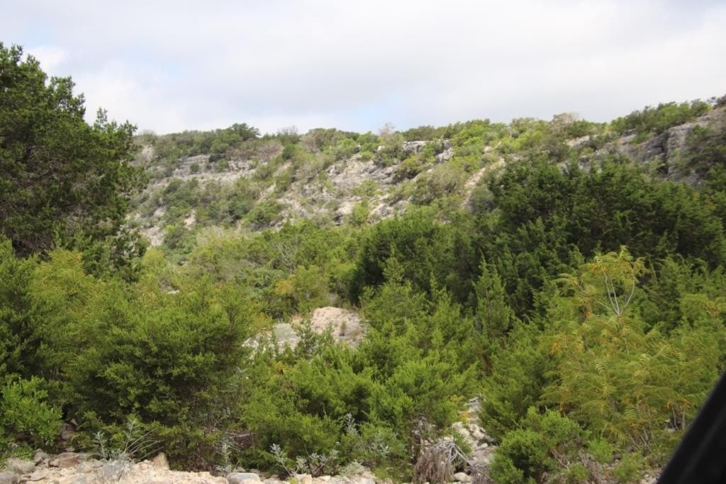1,038 acres in Edwards County - photo 56