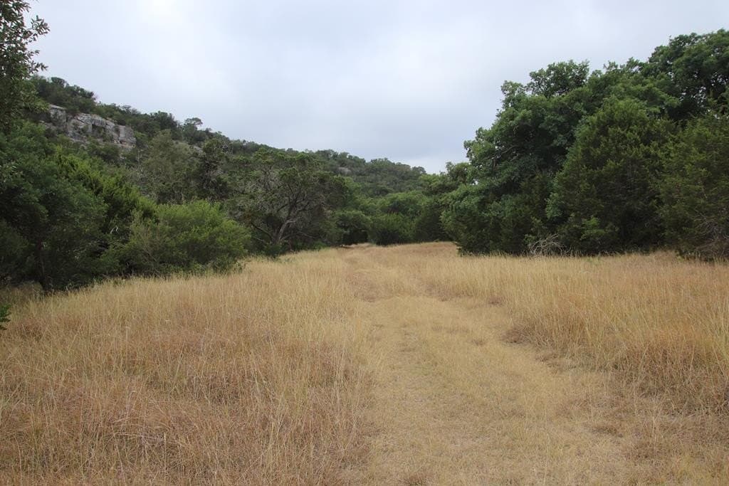 1,038 acres in Edwards County - photo 33