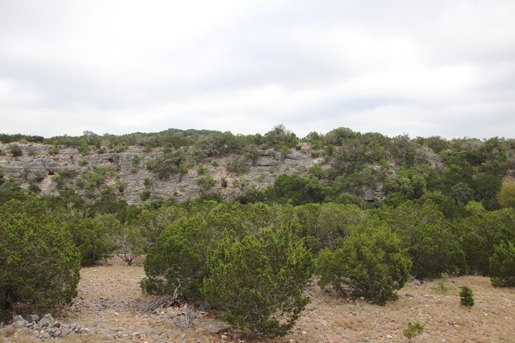 1,038 acres in Edwards County - photo 43