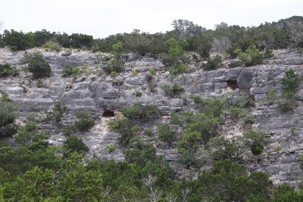 1,038 acres in Edwards County - photo 44