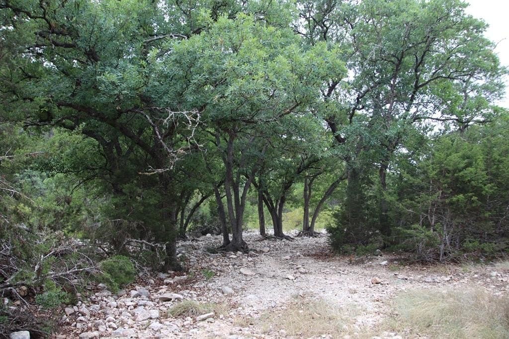 1,038 acres in Edwards County - photo 34
