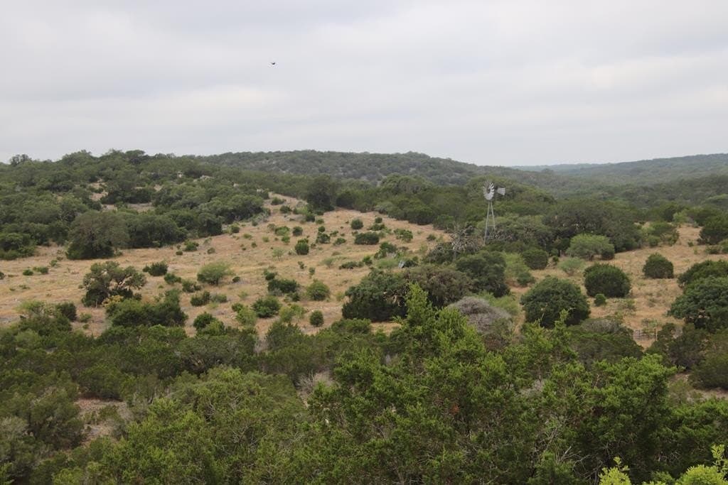 1,038 acres in Edwards County - photo 30