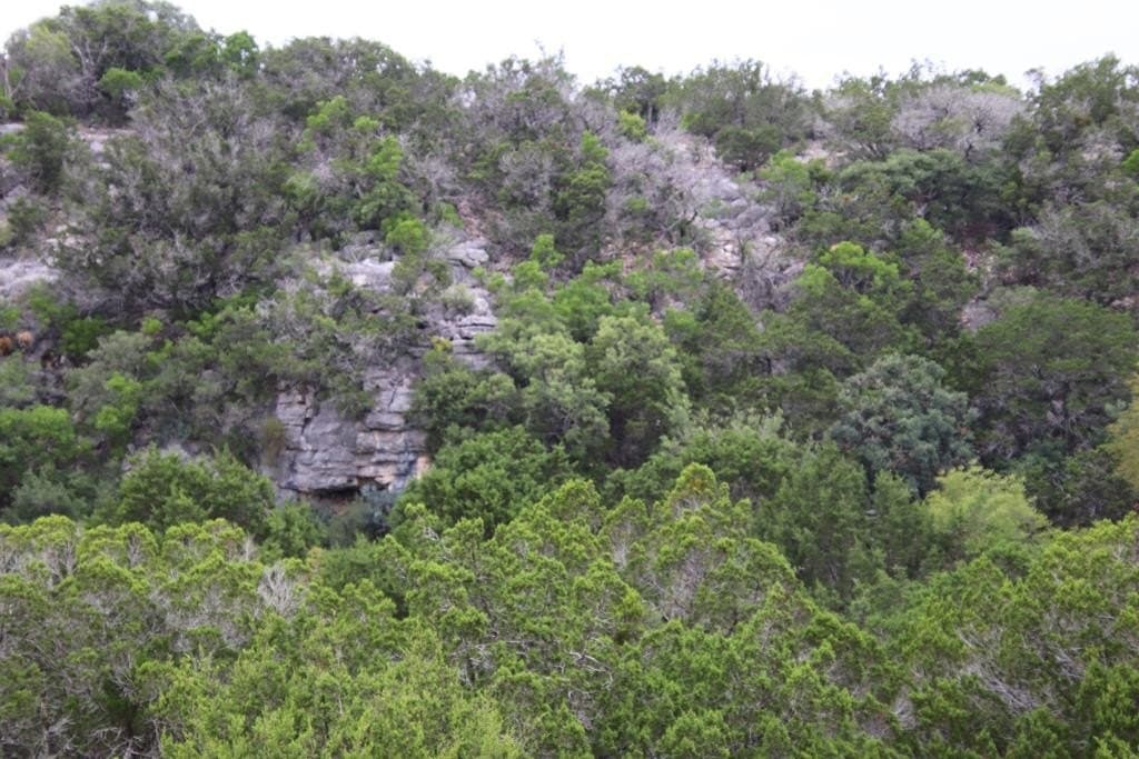 1,038 acres in Edwards County - photo 45