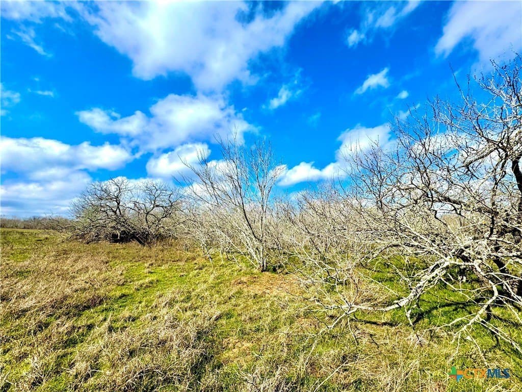 10.18 acres in Gonzales County gallery image 3