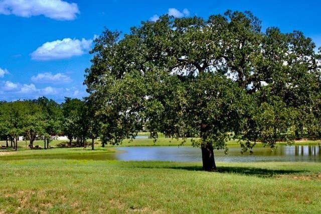 0.27 acres in Gillespie County featured view