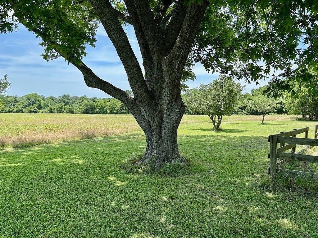 30 acres in Washington County gallery image 3