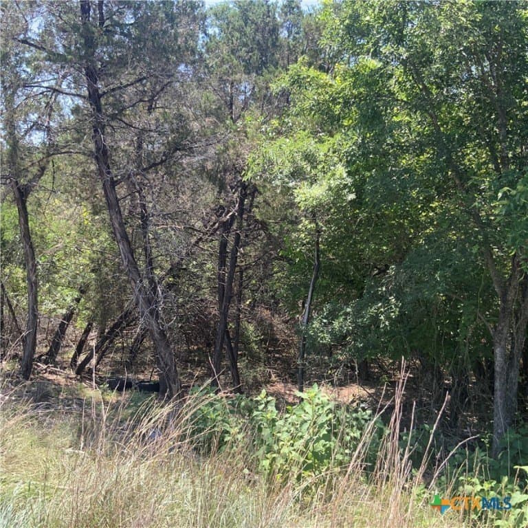 0.33 acres in Bell County featured view