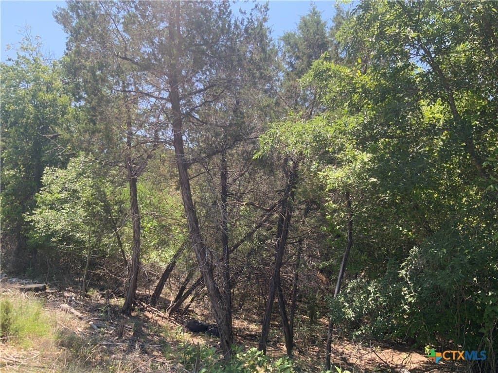 0.33 acres in Bell County