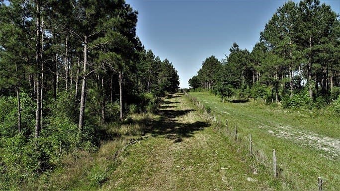 421.95 acres in Texas County featured view
