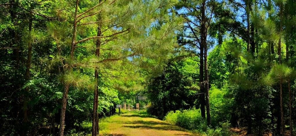 421.95 acres in Texas County