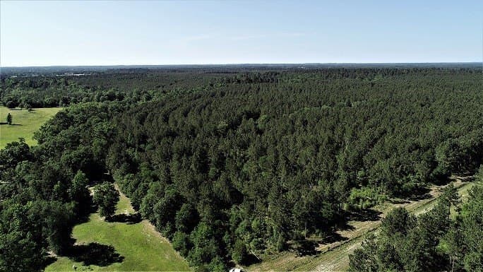 421.95 acres in Texas County gallery image 3